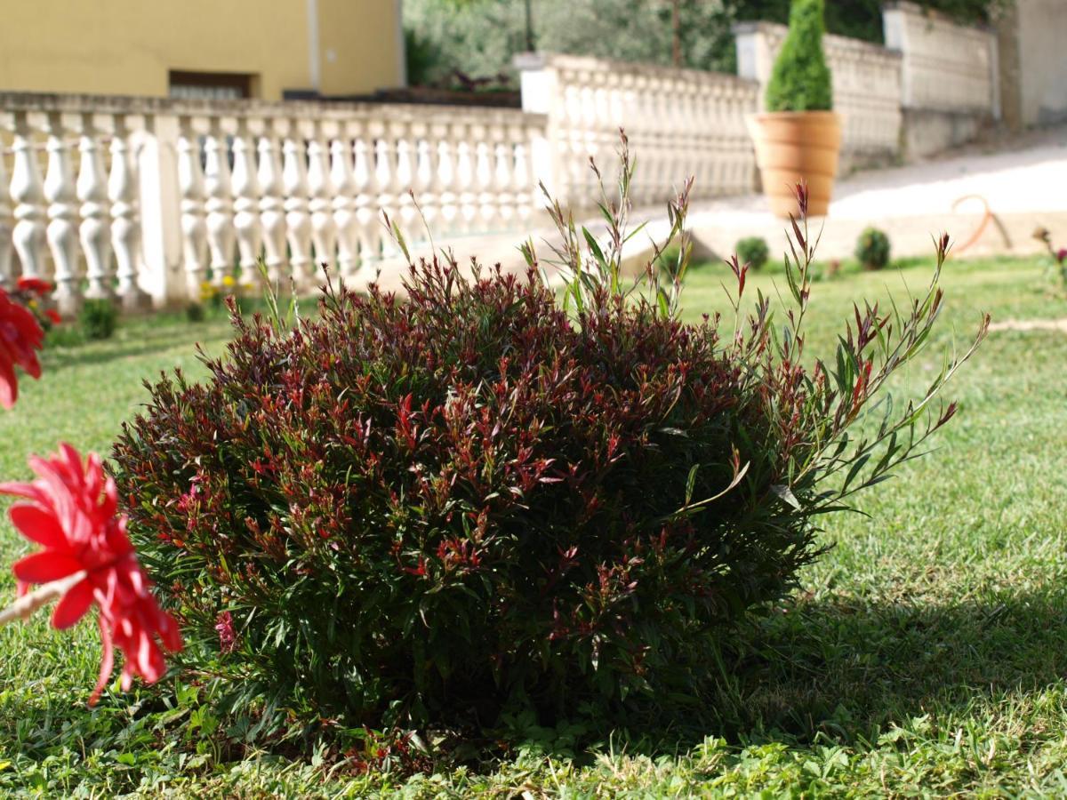 Apartments Mirasol Ουμάγκ Εξωτερικό φωτογραφία