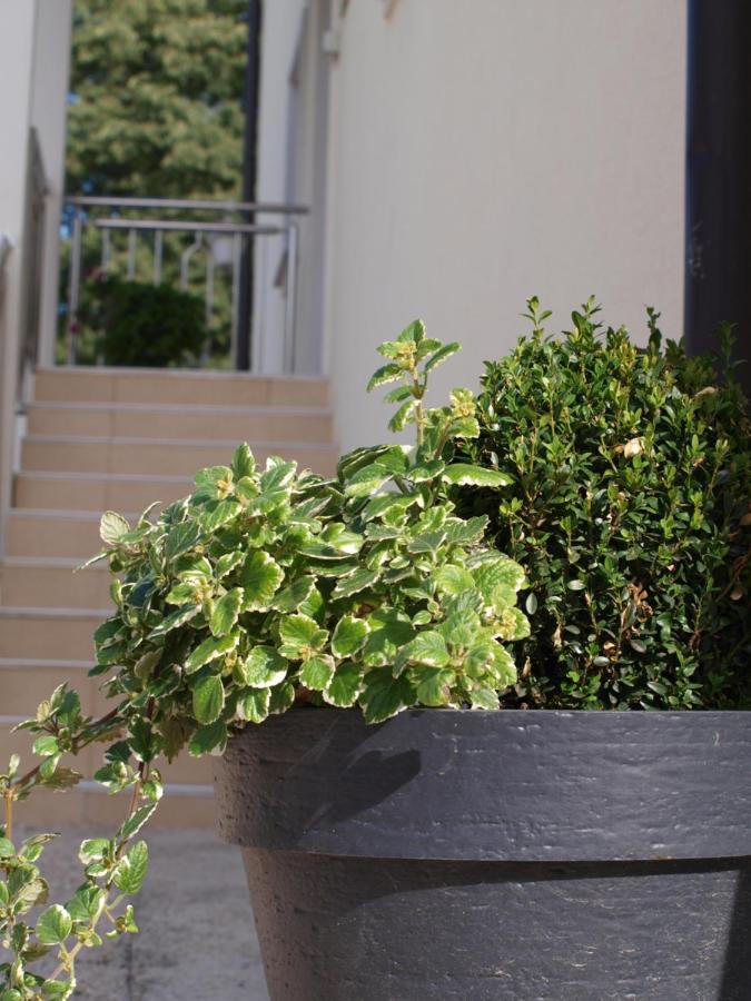 Apartments Mirasol Ουμάγκ Εξωτερικό φωτογραφία